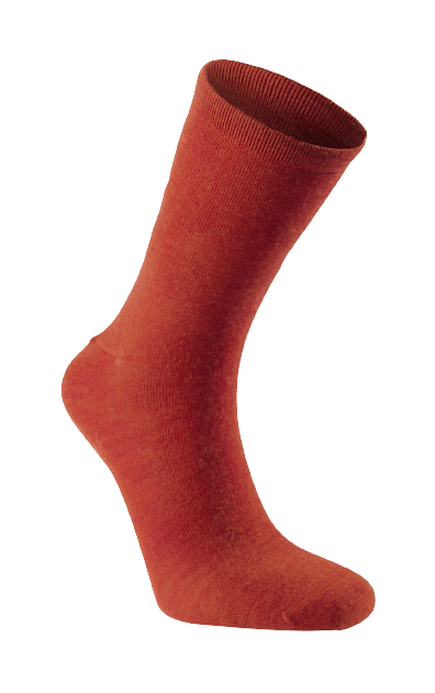 97C36000-2947-4D28-8060-BEEEED4EEF91